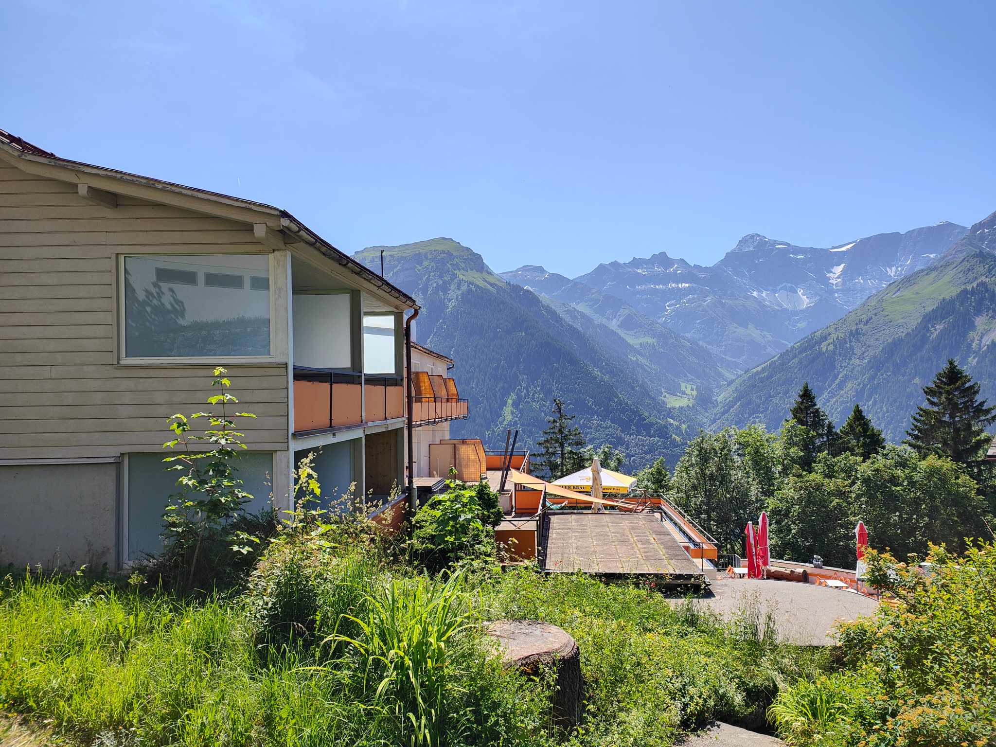 Braunwald