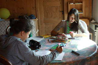 friLingue School Week 11